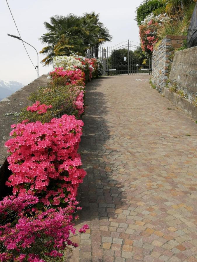 Villetta Primavera Βερμπάνια Εξωτερικό φωτογραφία