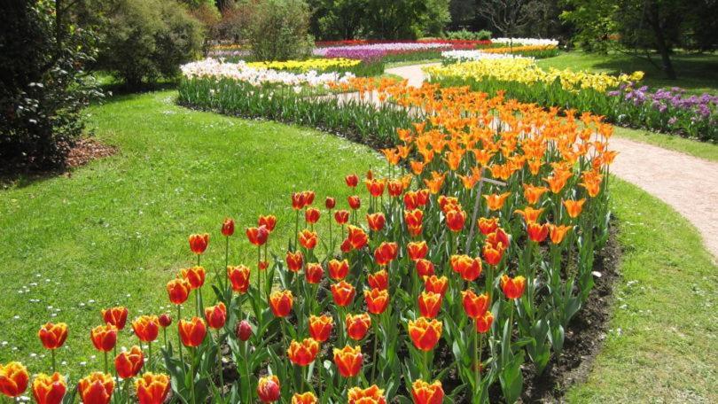 Villetta Primavera Βερμπάνια Εξωτερικό φωτογραφία